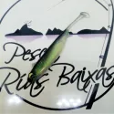 Snatch Bite Shad de Magbite 3" Color 06