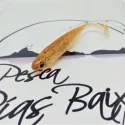 Snatch Bite Shad de Magbite 3" Color 10