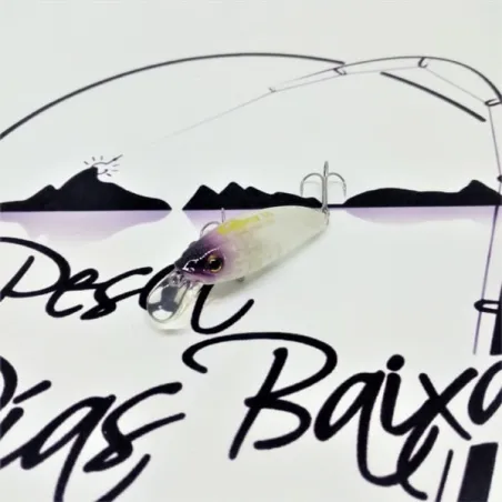 Gracy SS de Magbite 12