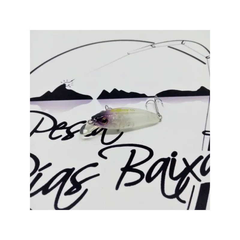 Gracy SS de Magbite 12
