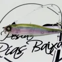 Live Wire de Whiplash Factory Ghost 500