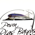 Megabass Karashi SW - GG Haku