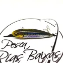 Megabass Karashi SW - FA Iwashi