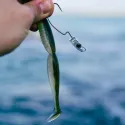 Jig Heads Xorus Texas Eel