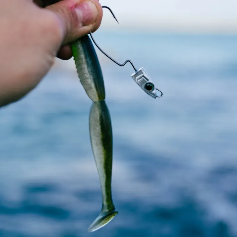 Jig Heads Xorus Texas Eel