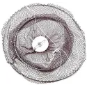 Retel Para Quisquilla - 50cm
