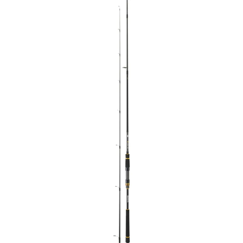 Daiwa BG Seabass 1002 HXHFSBF (3.05m)