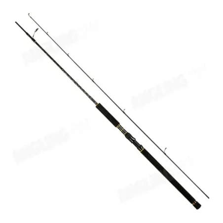 Canne Abu García Oceanfield Offshore Casting 76-ML