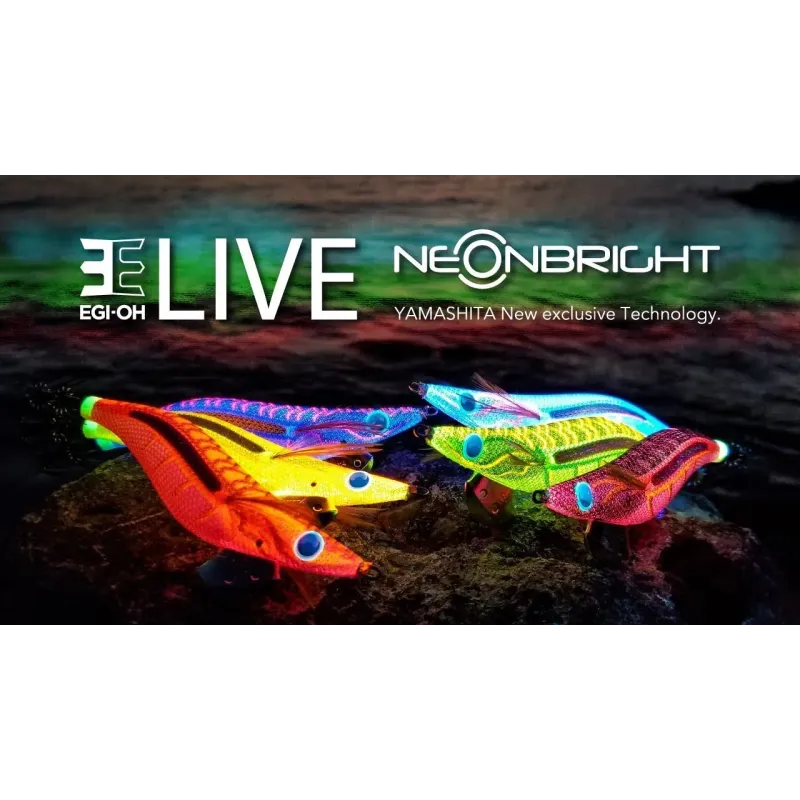 Yamashita Egi OH Live Neon Bright 2.5 - 069 OS