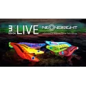 Yamashita Egi OH Live Neon Bright 3.0 - 070 LP