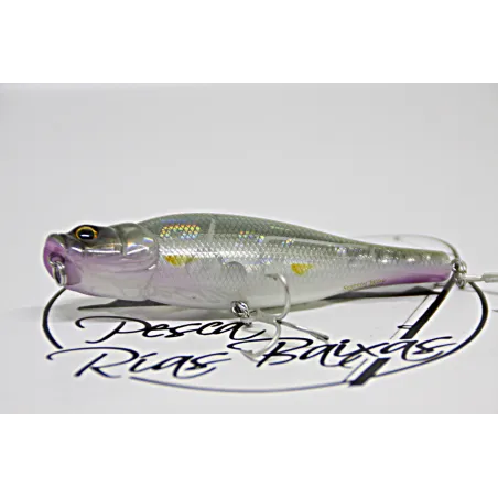 Spittin Wire - 19chc Abra Katabira