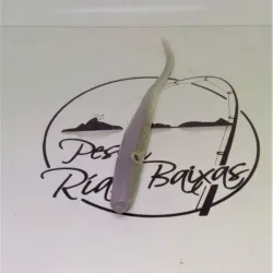 Spotter 2.0 de Ra´Is Fishing 5" R8 Stoneriver