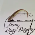 Spotter 2.0 de Ra´Is Fishing 5" R12 Groundzero
