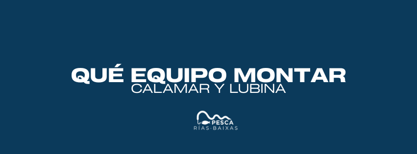 Calamar y lubina este otoño: qué montar para cada pesca 1