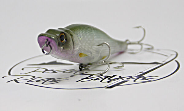 Spittin Wire - 19chc Abra Katabira - Imagen 4