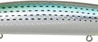 Bassday Logs Surf 140S - LH244